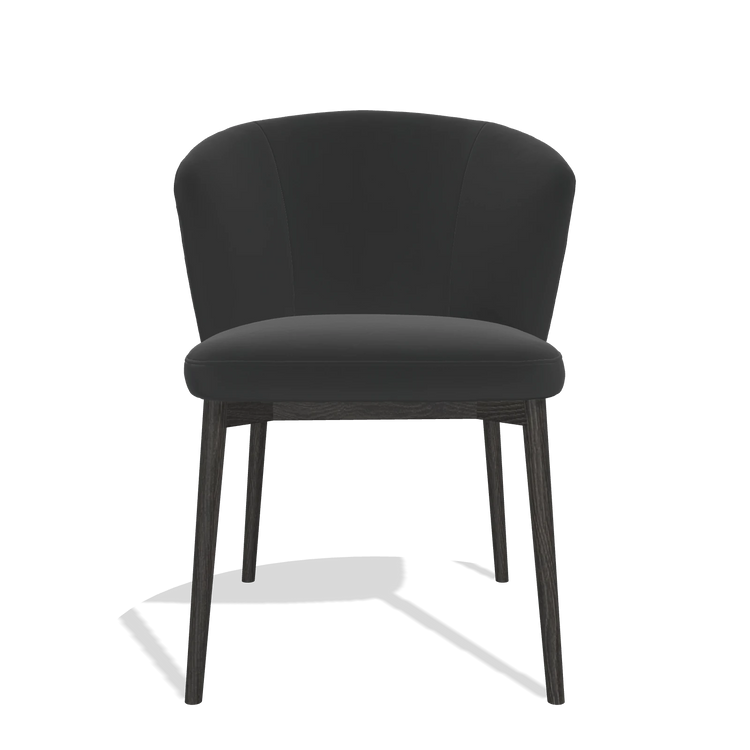 Dining Chair Harmony 6636 in Leather A804 (black), tobacco legs, front view