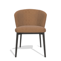 Sedia da pranzo Harmony 6636 in Pelle B501 (caramello), gambe in tabacco, vista frontale