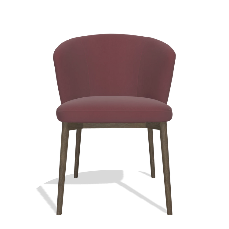 Sedia da pranzo Harmony 6636 in Pelle B554 (marrone), gambe in noce, vista frontale