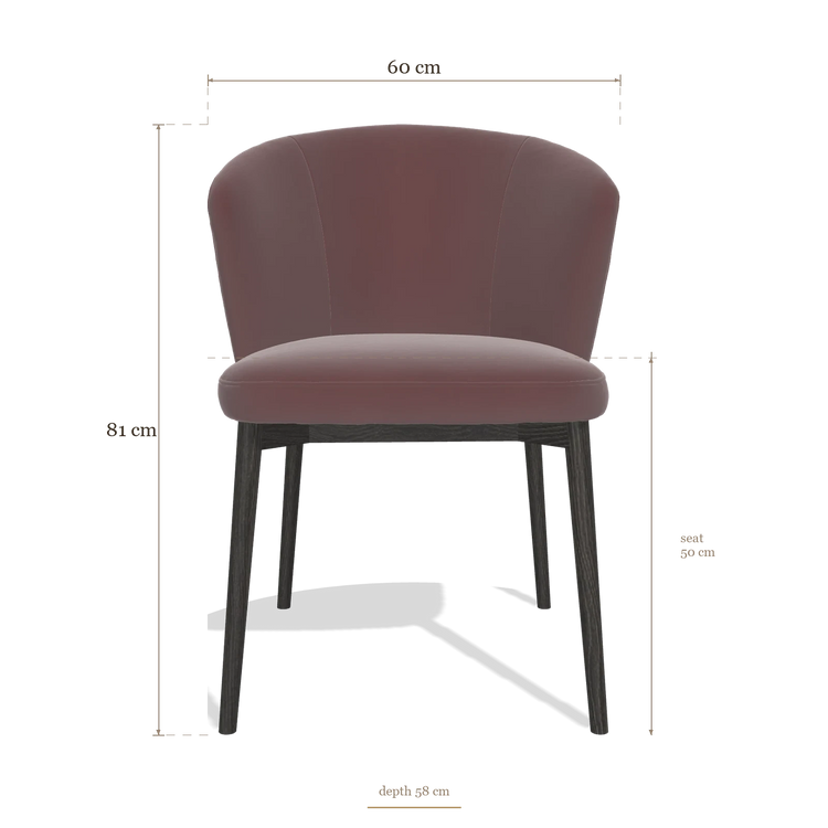 Silla de comedor Harmony 6636, medidas 60 x 58 x 81 cm
