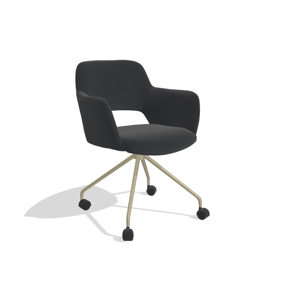 Dining Chair Jolly 6517 in Leather B500 (black), champagne legs, angled view
