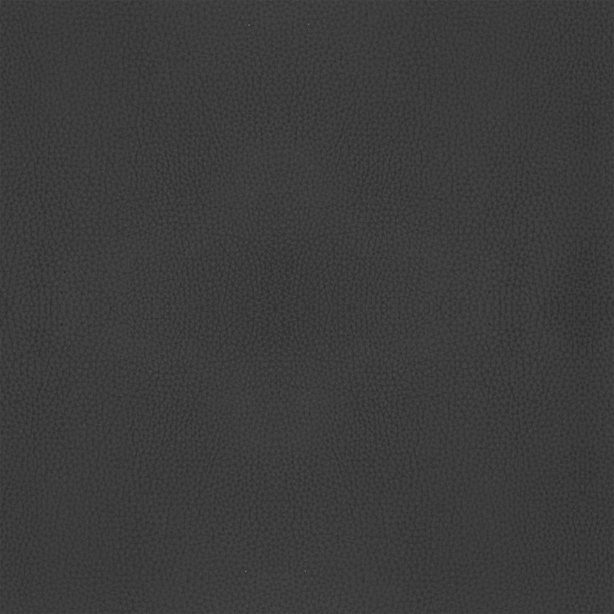 Leder B905 (Anthrazit), Detail, Esszimmerstuhl Jolly 6517