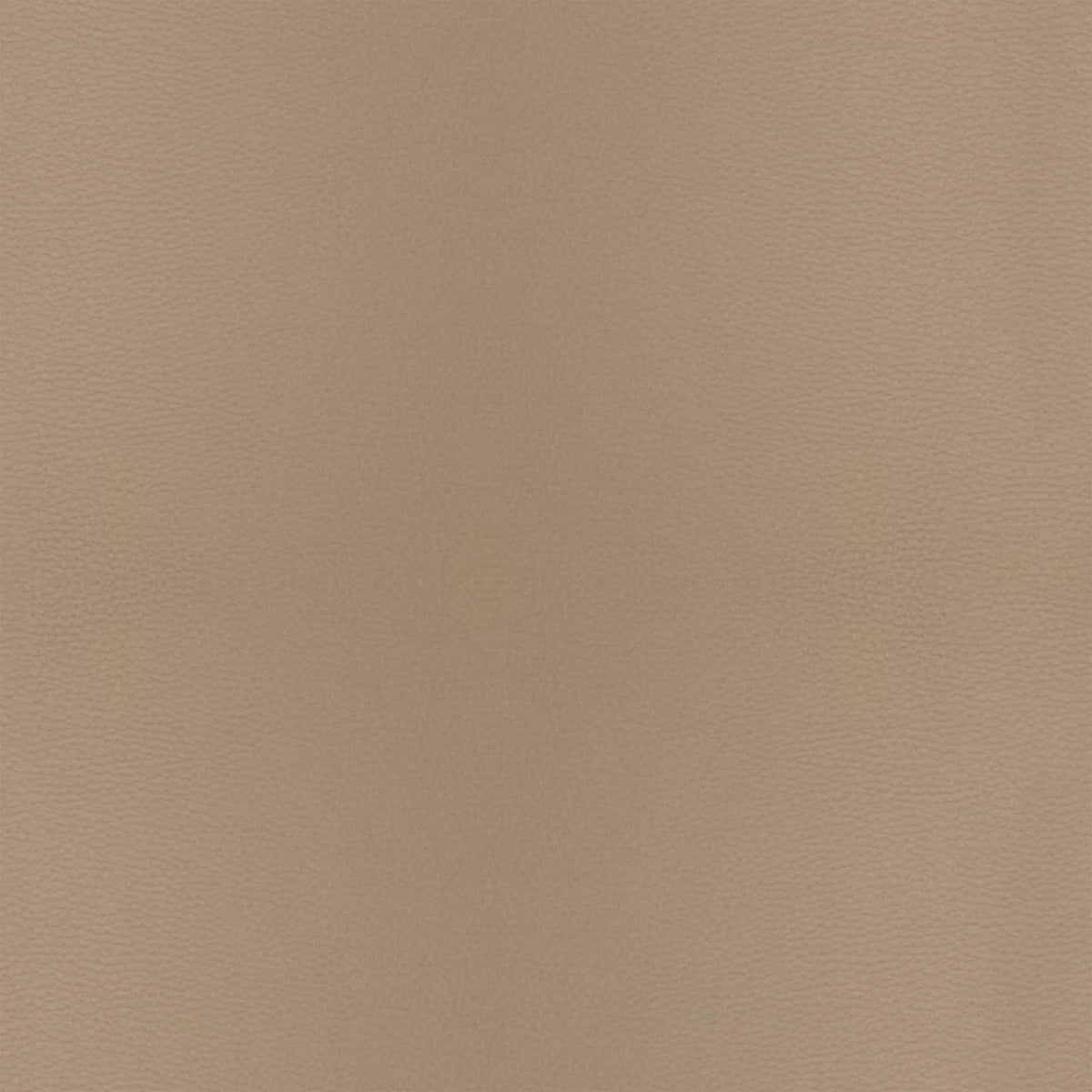 Leather B968 (taupe), detail, Dining Chair Jolly 6517