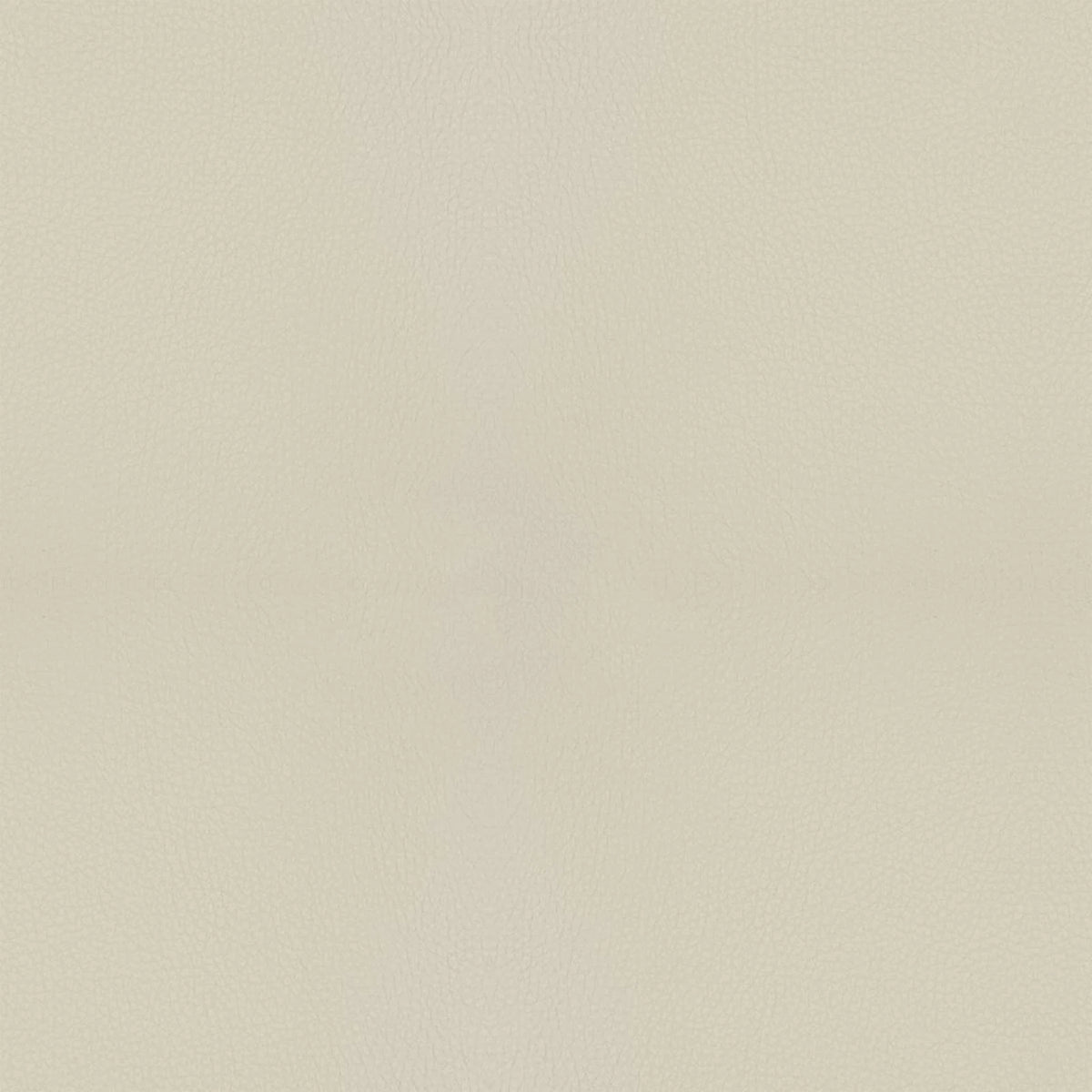 Pelle B971 (grigio chiaro), dettaglio, Sedia da pranzo Jolly 6517