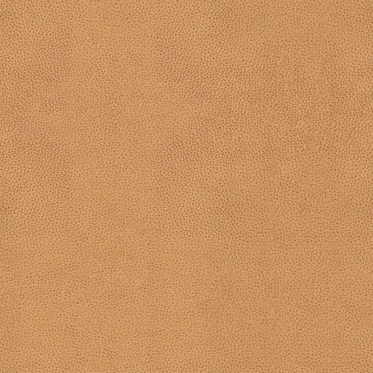 Leder B401 (Senfgelb), Detail, Esszimmerstuhl Lazio 6511