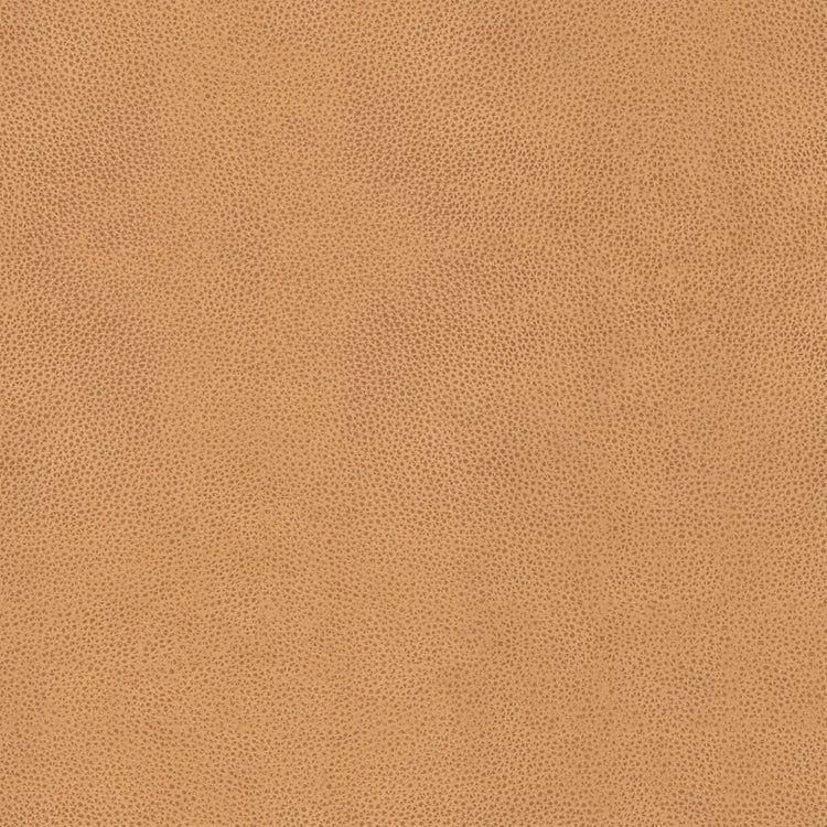 Leder B401 (Senfgelb), Detail, Esszimmerstuhl Lazio 6511