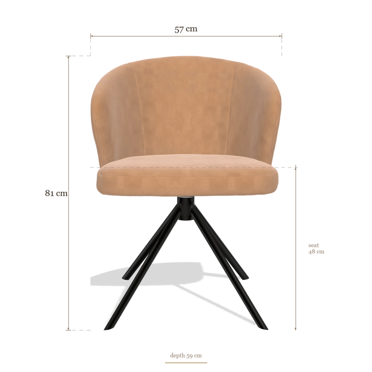 Dining Chair Lazio 6511, dimensions 57 x 59 x 81 cm