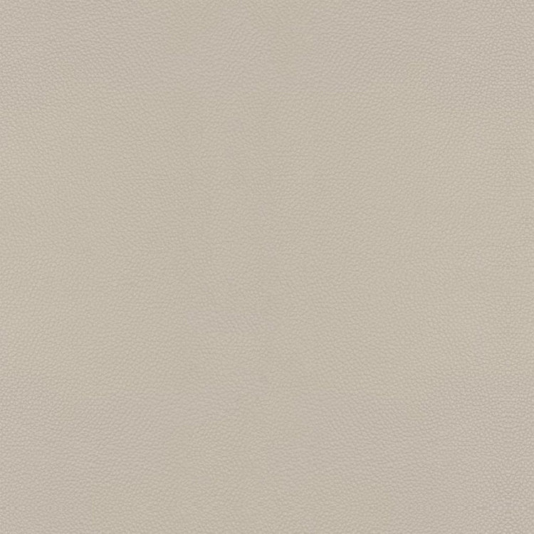 Leather B514 (light grey), detail, Dining Chair Lazio 6511