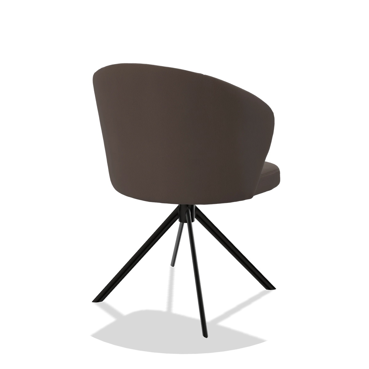 Dining Chair Lazio 6511 in Leather B535 (brown), black swivel base, back angled view