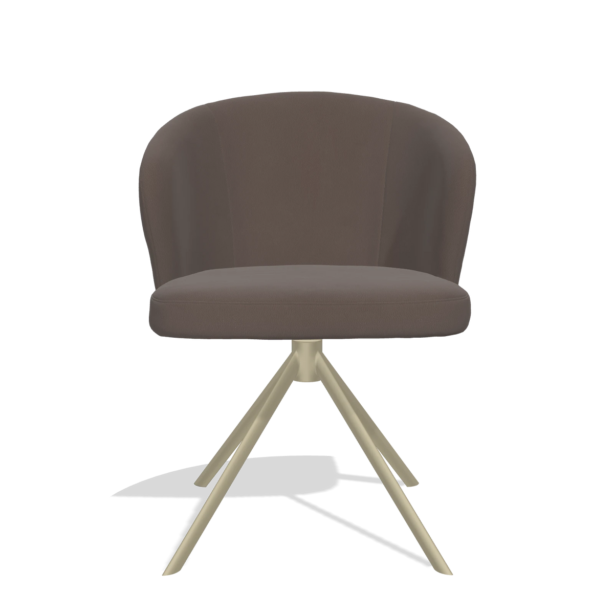 Dining Chair Lazio 6511 in Leather B535 (brown), champagne swivel base, front view
