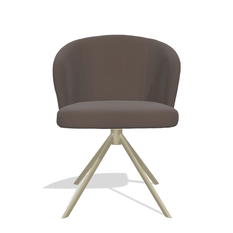 Dining Chair Lazio 6511 in Leather B535 (brown), champagne swivel base, front view