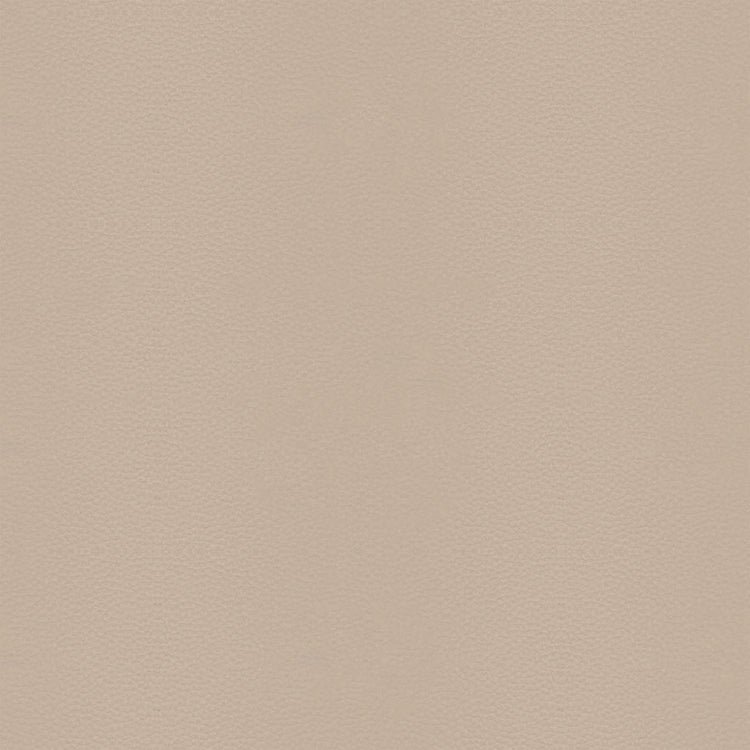 Leather B911 (sand), detail, Dining Chair Lazio 6511