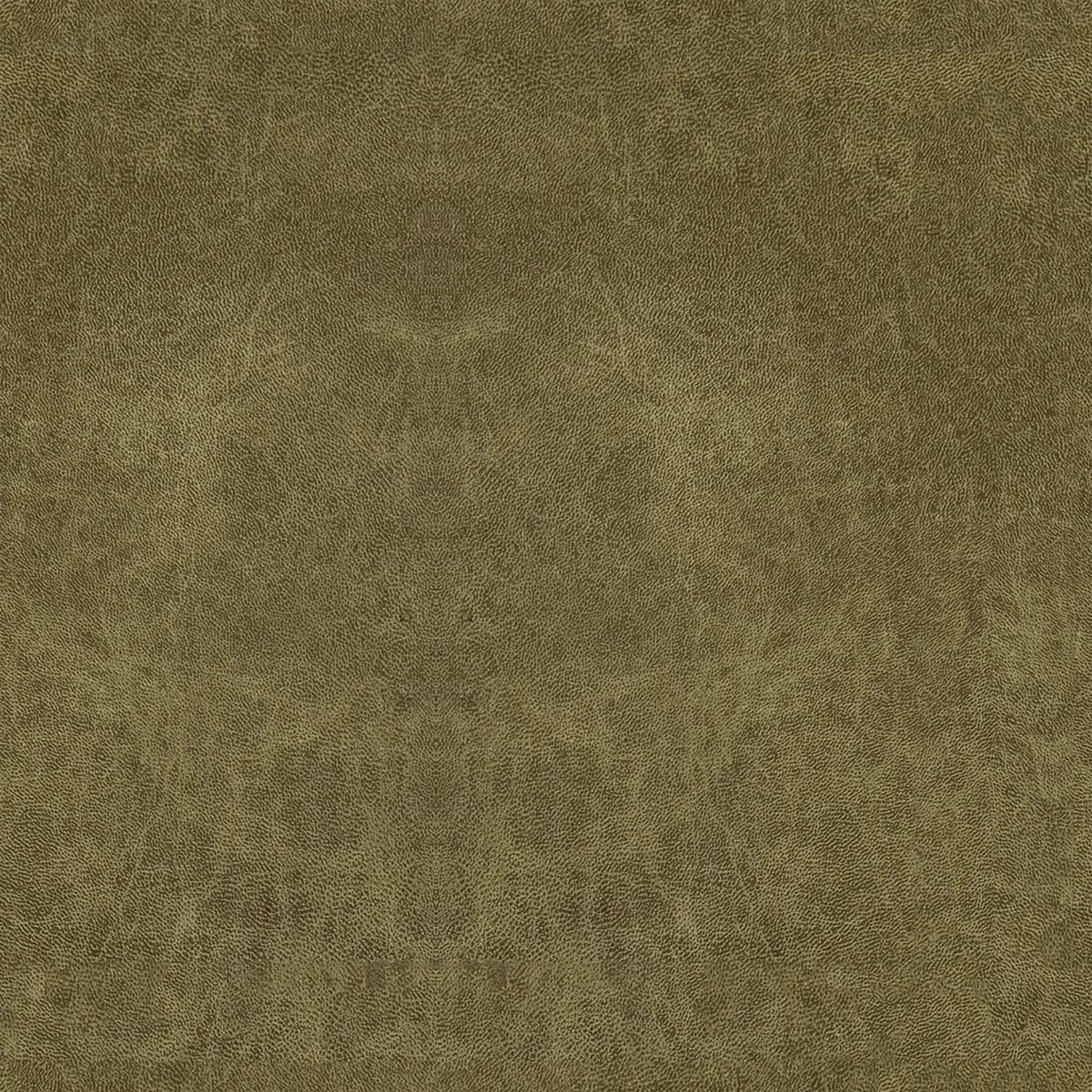 Bull 59 fabric (olive), detail, Dining Chair Lecce 6703
