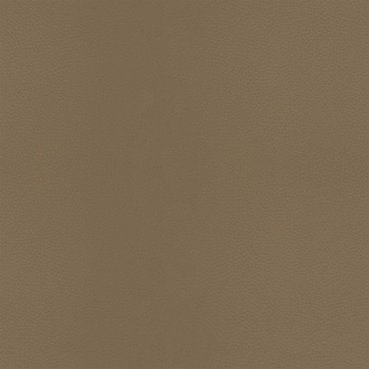 Cuir B901 (olive), détail, Chaise de salle à manger Lecce 6703