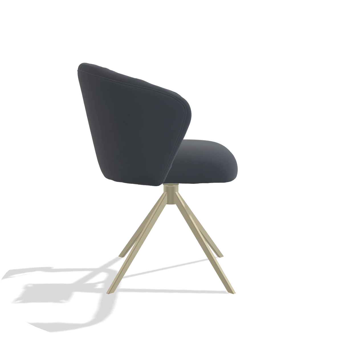 Sedia da pranzo Lecce 6703 in Pelle B961 (grigio scuro), base girevole in champagne, vista laterale