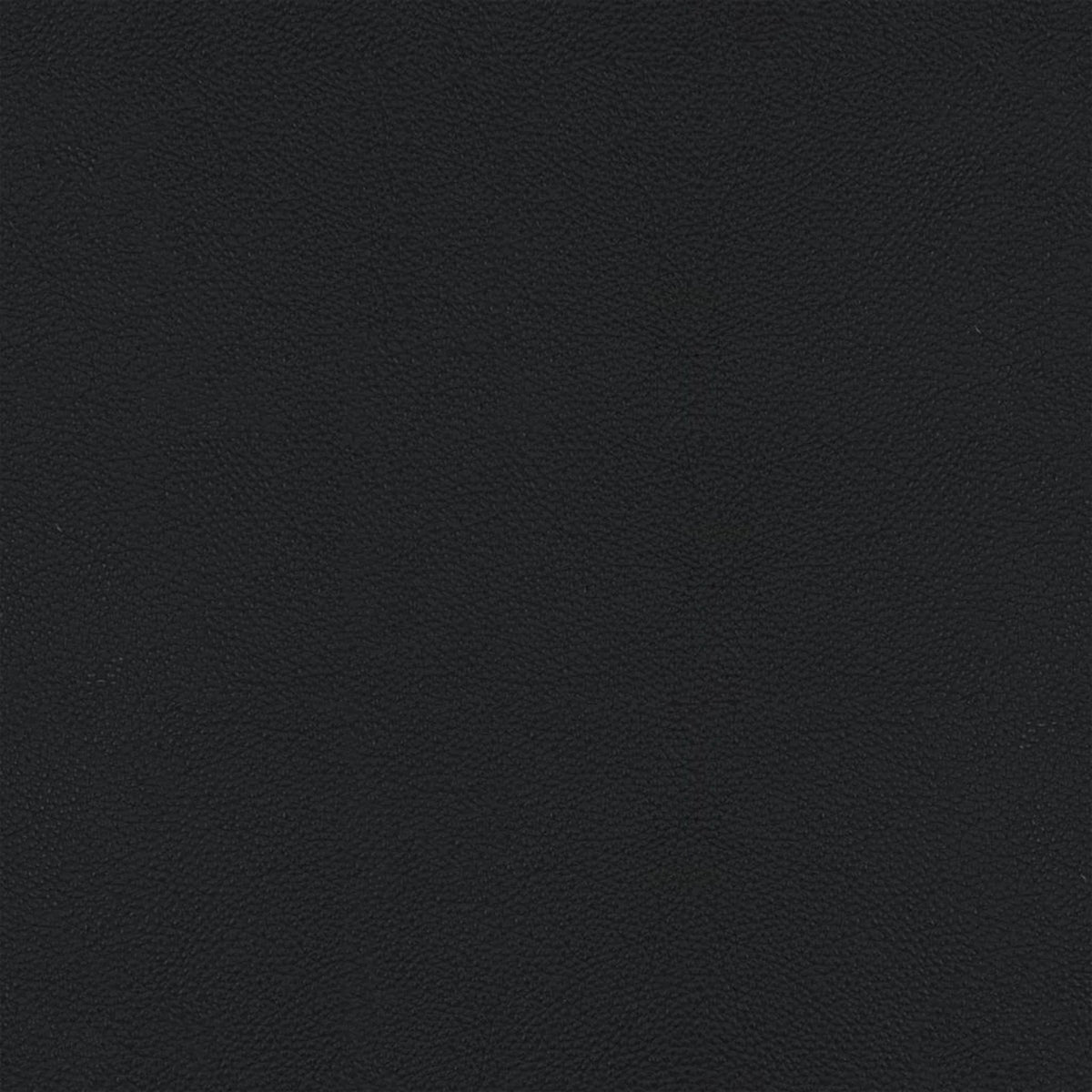 Leather B500 (black), detail, Dining Chair Lena 6581