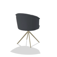 Silla de comedor Lena 6581 en Piel B961 (gris oscuro), base giratoria en champán, vista trasera en ángulo