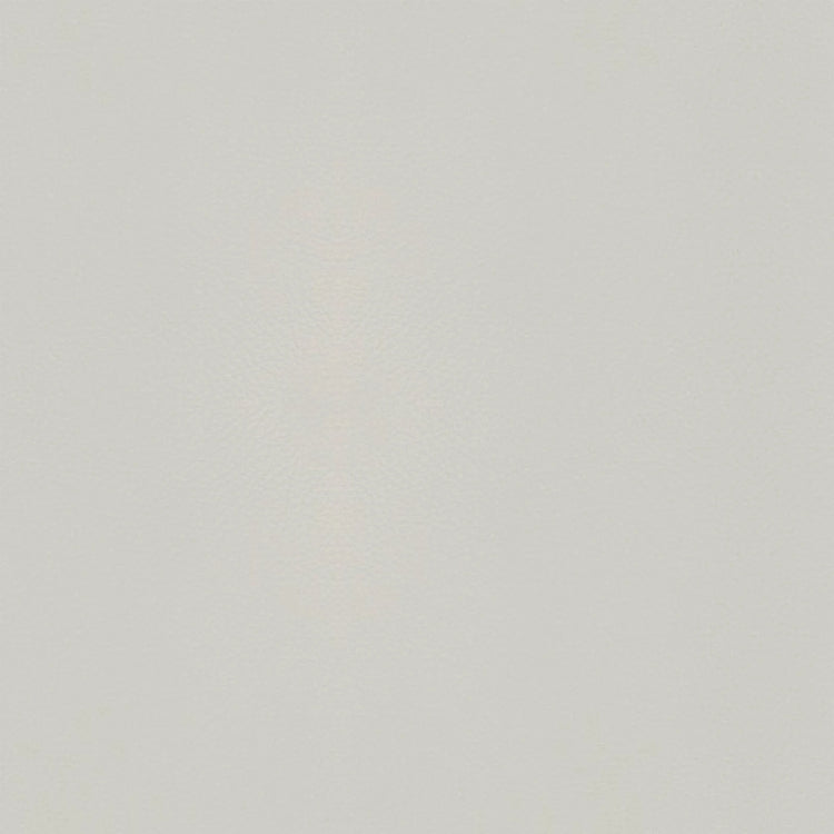 Cuir B970 (gris clair), détail, Chaise de salle à manger Lena 6581