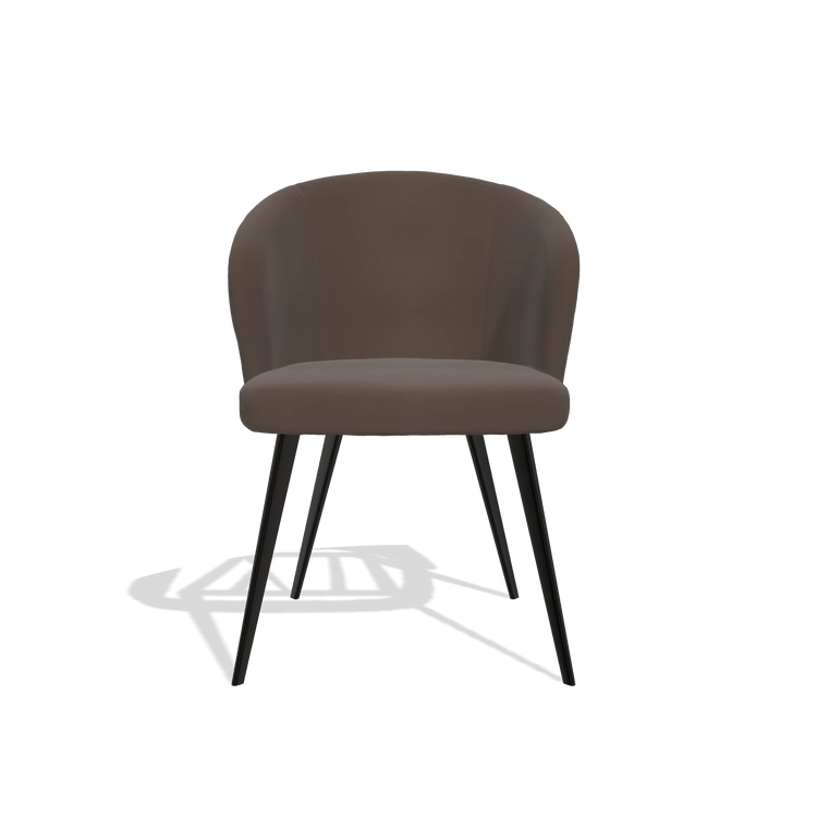 Esszimmerstuhl Lisette 6599 in Leder A825 (Braun), Beine in Schwarz, Vorderansicht
