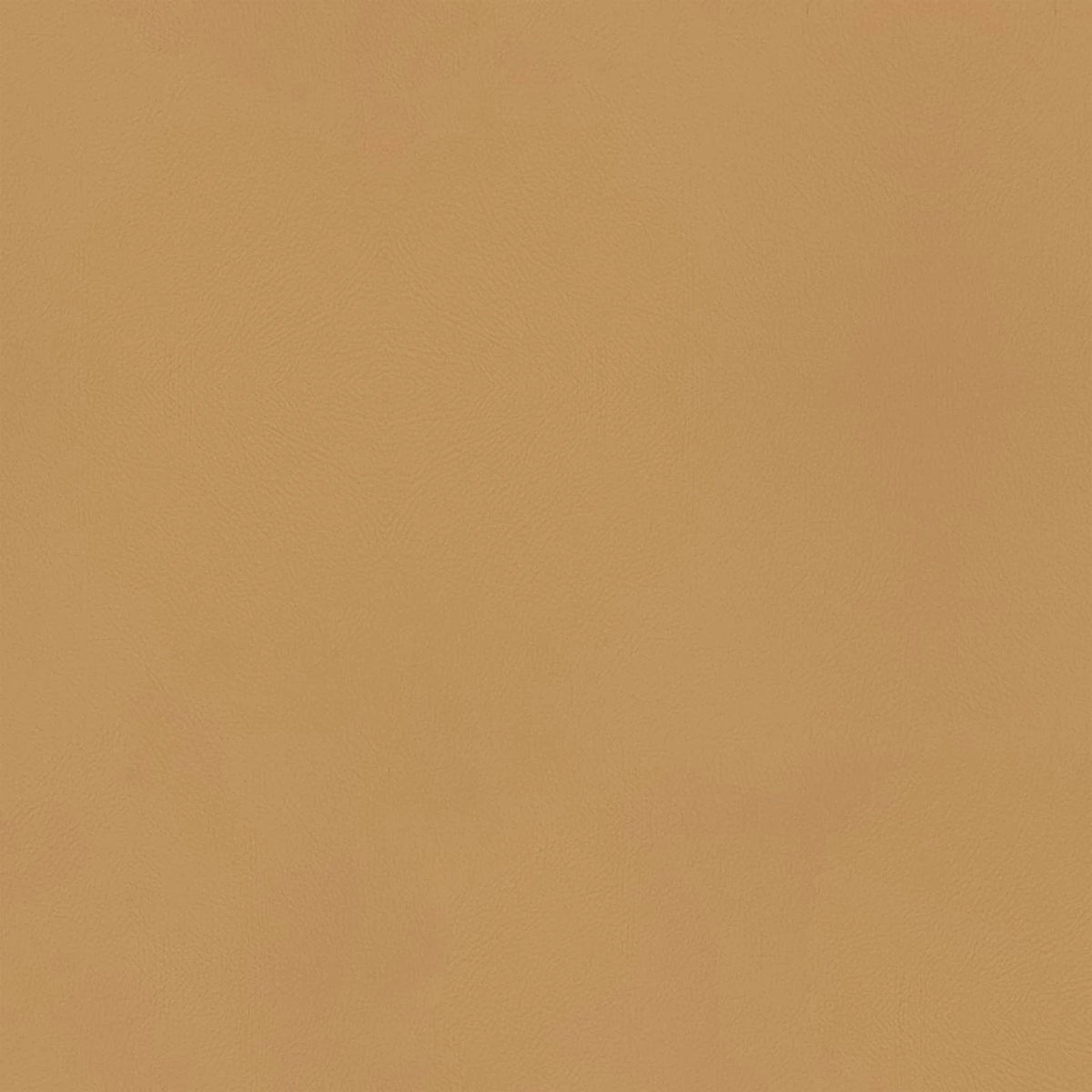 Leder A823 (Senfgelb), Detail, Esszimmerstuhl Mancini 6538