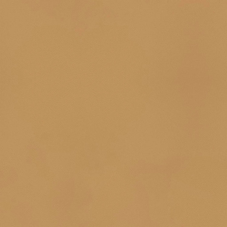 Leder A823 (Senfgelb), Detail, Esszimmerstuhl Mancini 6538