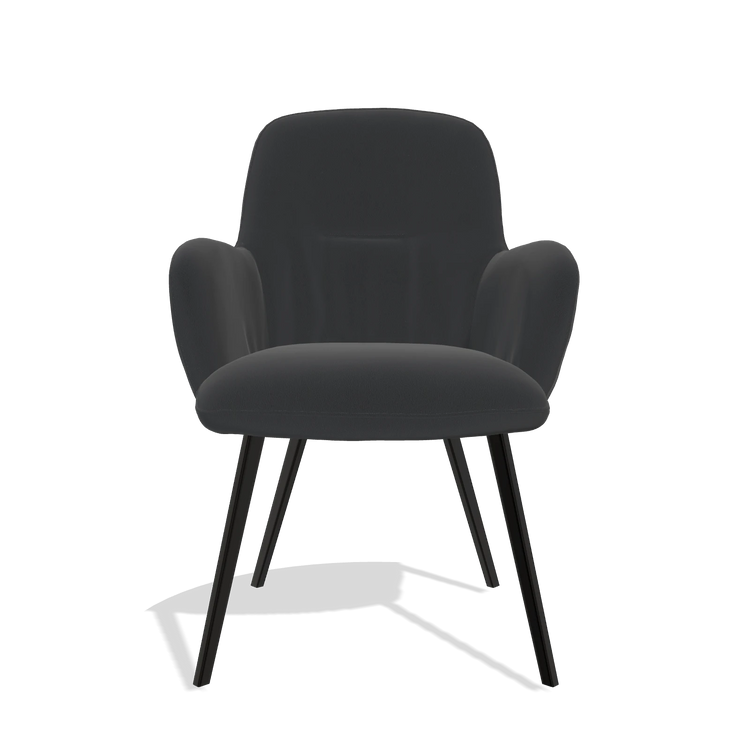 Esszimmerstuhl Mancini 6538 in Leder B500 (Schwarz), Beine in Schwarz, Vorderansicht