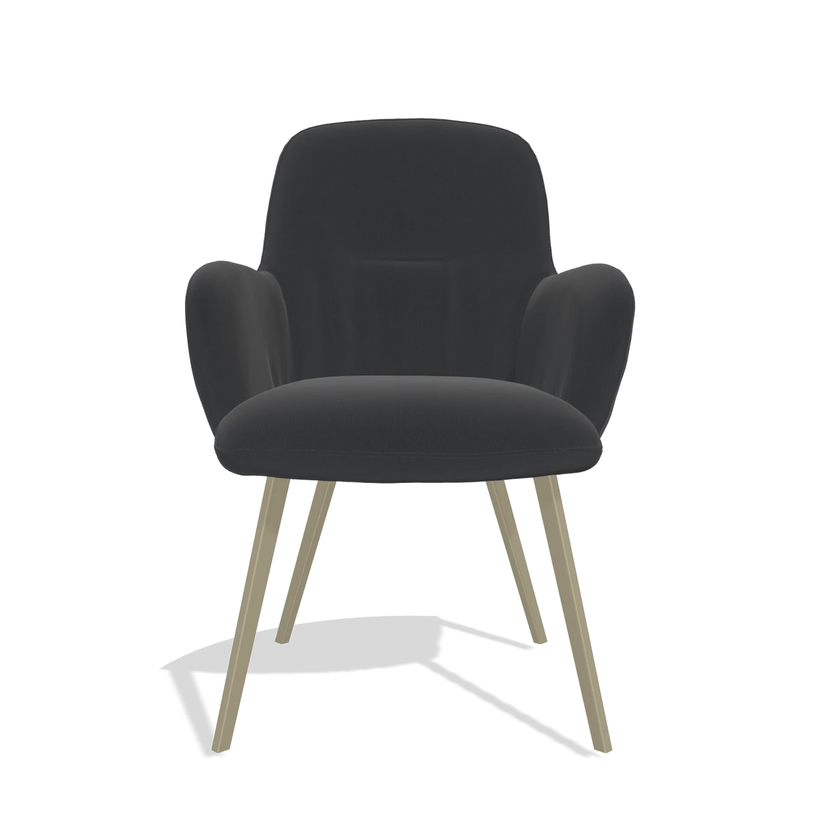Esszimmerstuhl Mancini 6538 in Leder B500 (Schwarz), Beine in Champagner, Vorderansicht