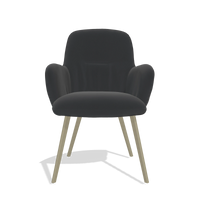 Esszimmerstuhl Mancini 6538 in Leder B500 (Schwarz), Beine in Champagner, Vorderansicht