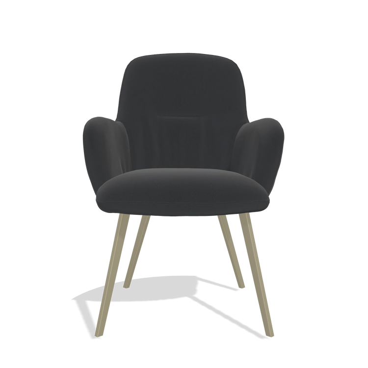 Esszimmerstuhl Mancini 6538 in Leder B500 (Schwarz), Beine in Champagner, Vorderansicht