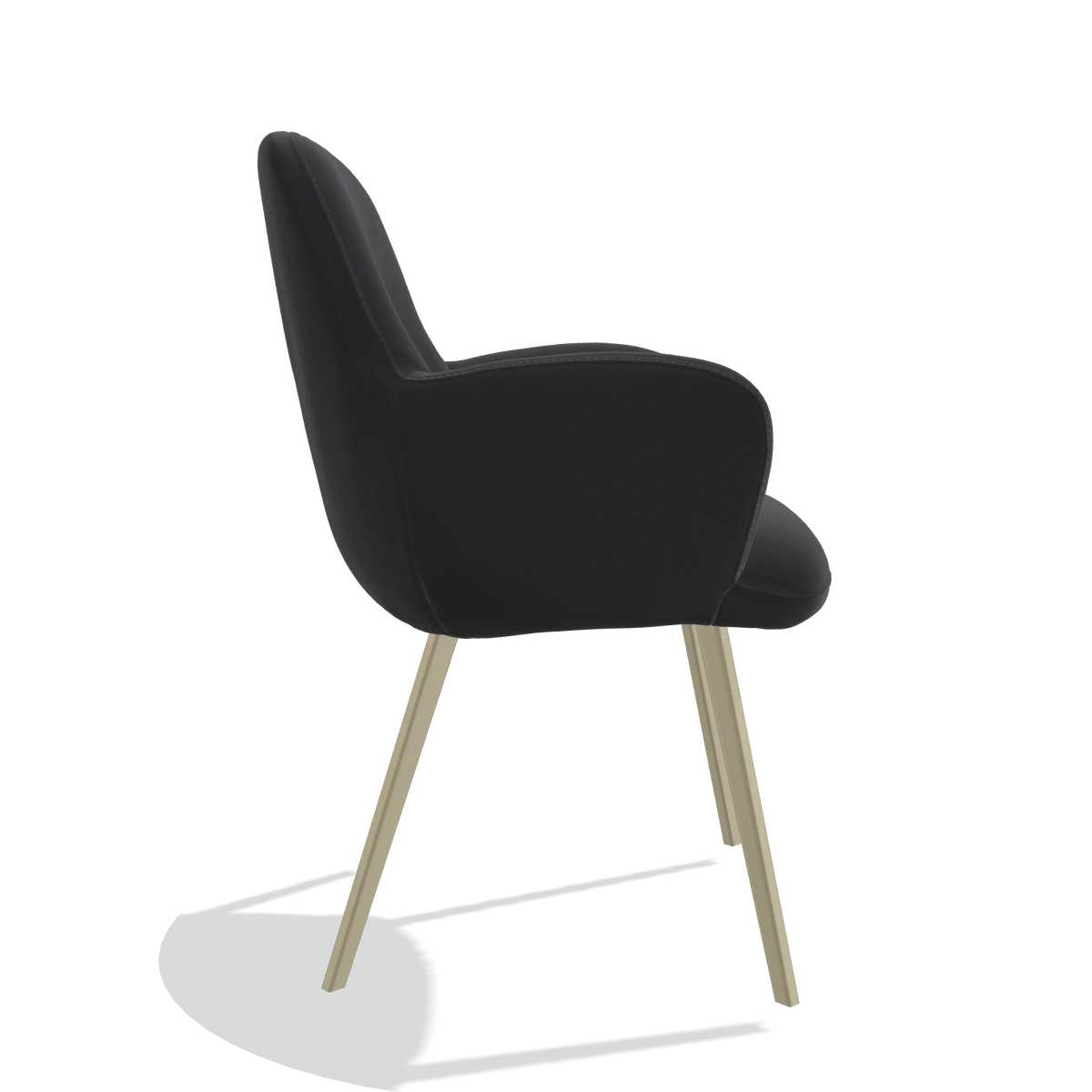 Esszimmerstuhl Mancini 6538 in Leder B500 (Schwarz), Beine in Champagner, Seitenansicht
