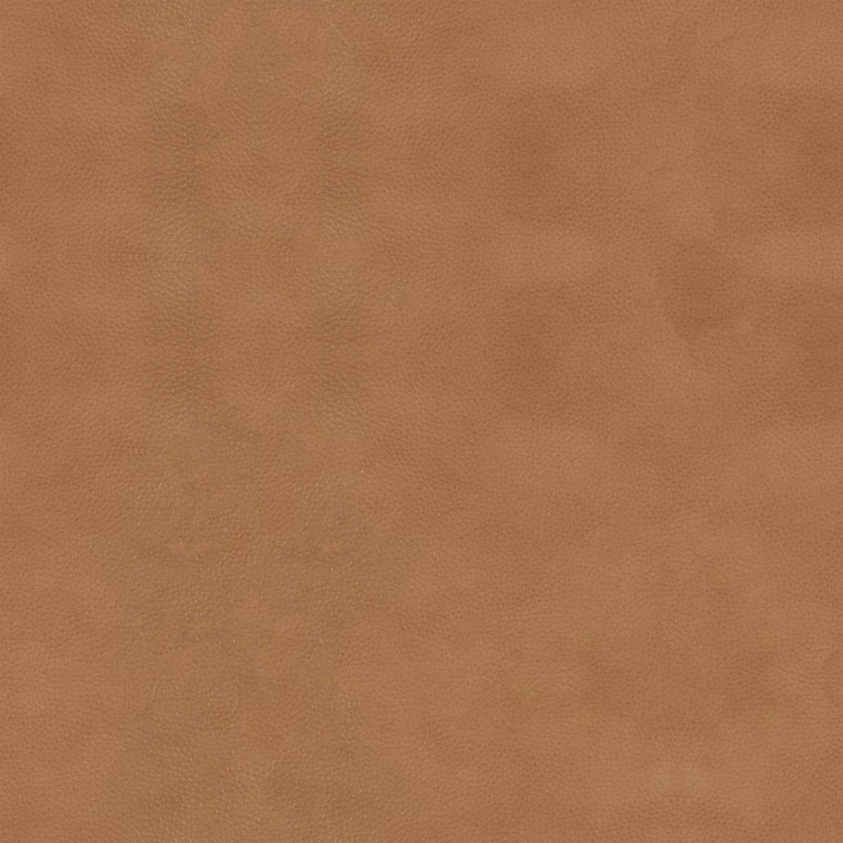 Leather B501 (caramel), detail, Dining Chair Mancini 6538