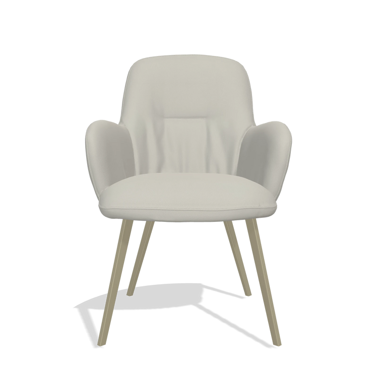 Sedia da pranzo Mancini 6538 in Pelle B506 (grigio chiaro), gambe in champagne, vista frontale