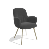 Dining Chair Mancini 6538 in Leather B905 (anthracite), champagne legs, angled view