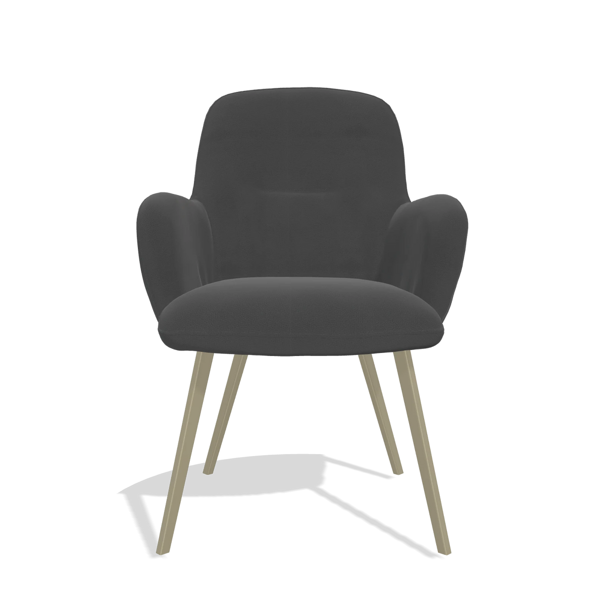 Dining Chair Mancini 6538 in Leather B905 (anthracite), champagne legs, front view