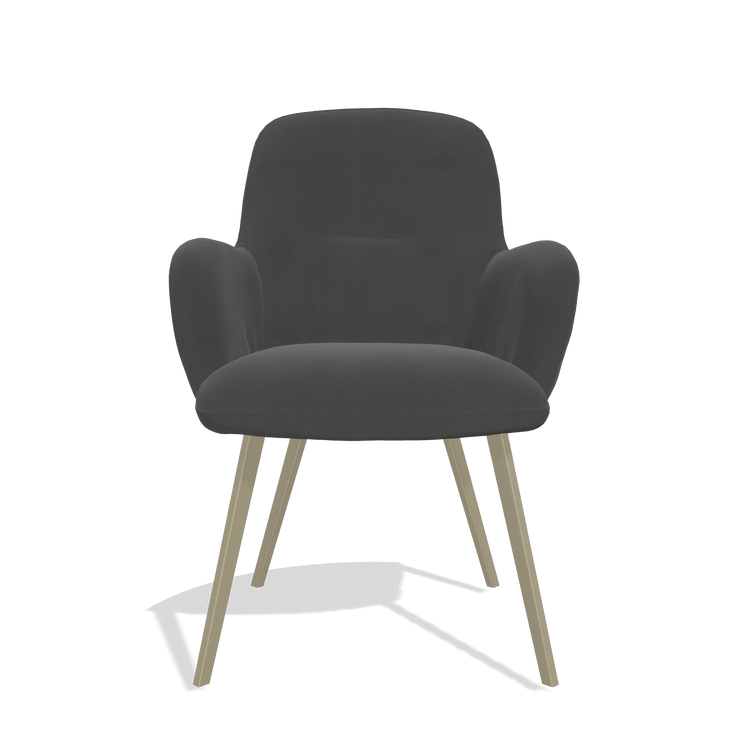 Dining Chair Mancini 6538 in Leather B905 (anthracite), champagne legs, front view