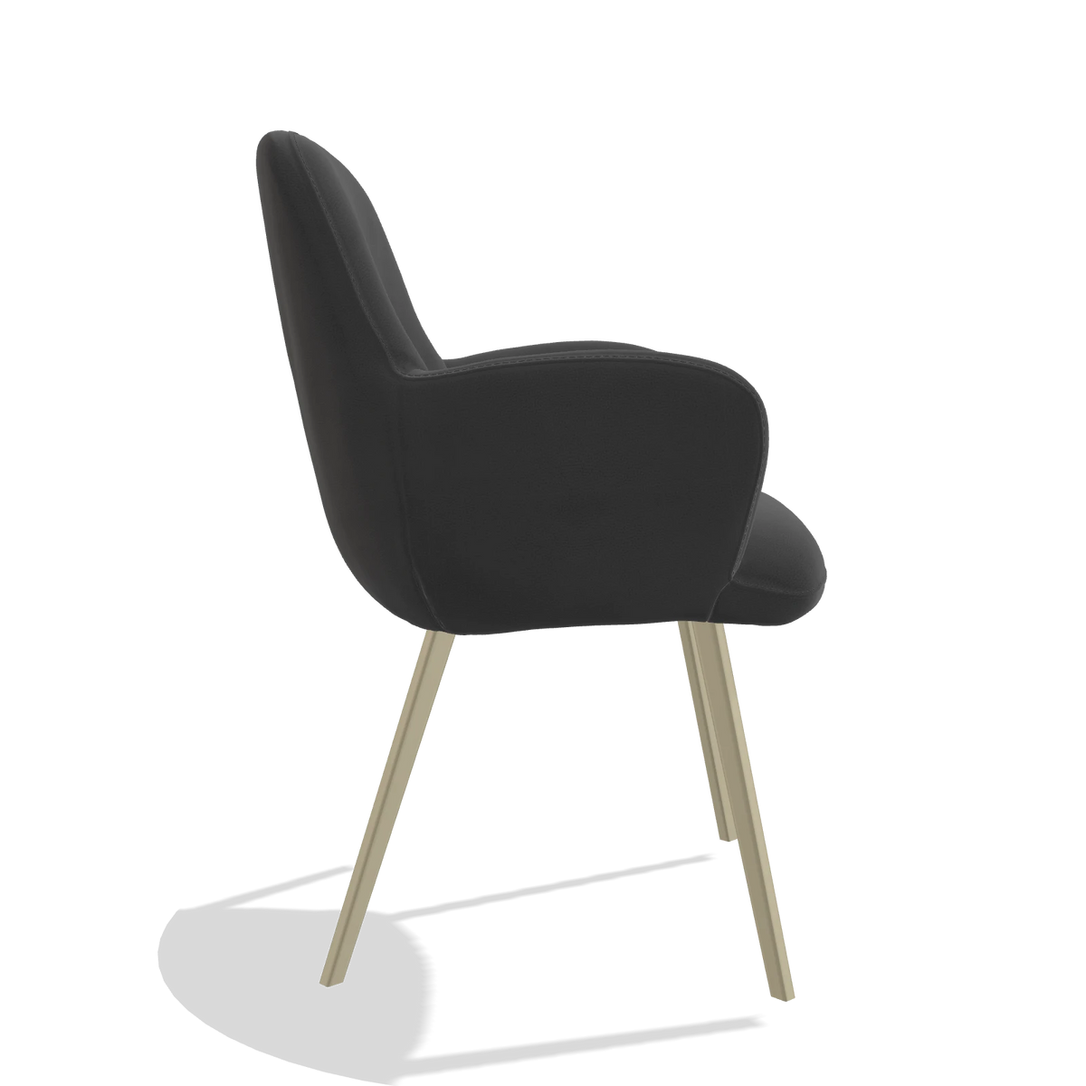 Dining Chair Mancini 6538 in Leather B905 (anthracite), champagne legs, side view