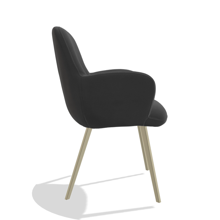 Dining Chair Mancini 6538 in Leather B905 (anthracite), champagne legs, side view
