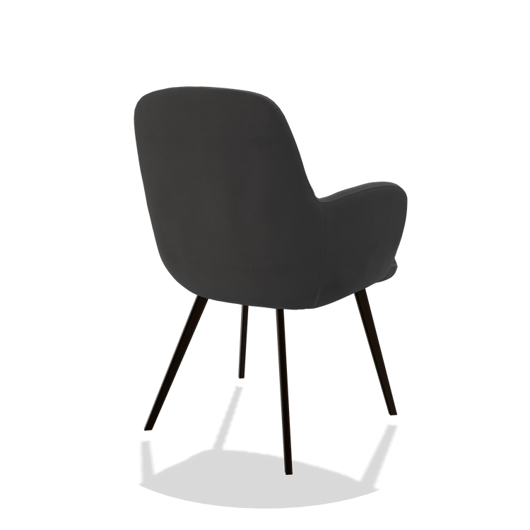 Dining Chair Mancini 6538 in Leather B905 (anthracite), espresso legs, back angled view