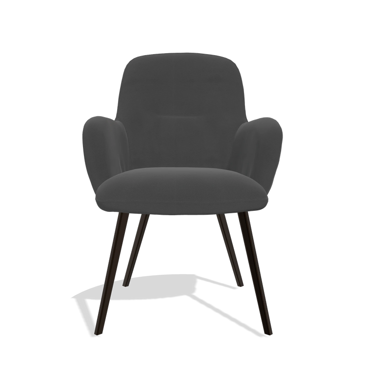 Dining Chair Mancini 6538 in Leather B905 (anthracite), espresso legs, front view