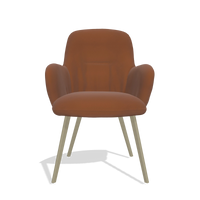 Sedia da pranzo Mancini 6538 in Pelle B912 (ruggine), gambe in champagne, vista frontale