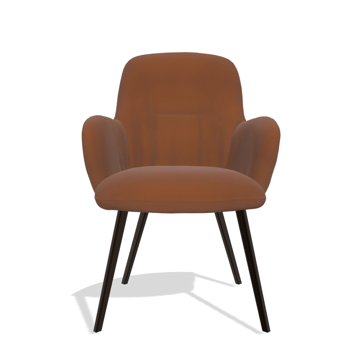 Sedia da pranzo Mancini 6538 in Pelle B912 (ruggine), gambe in espresso, vista frontale
