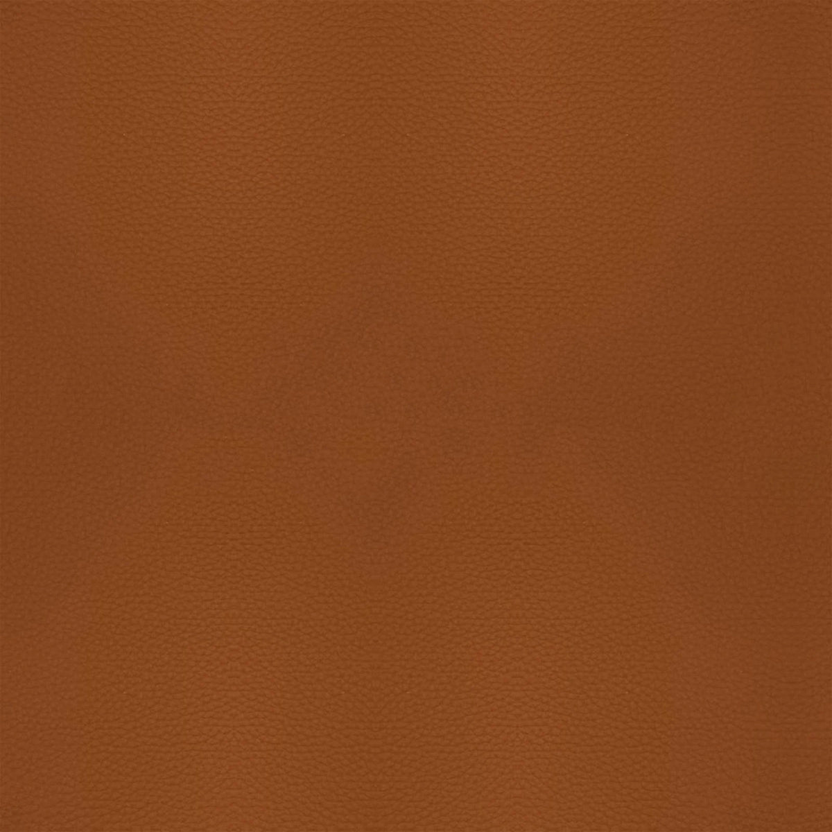 Pelle B912 (ruggine), dettaglio, Sedia da pranzo Mancini 6538