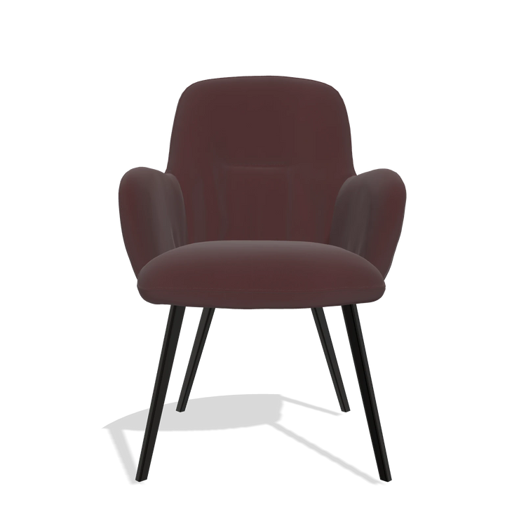 Sedia da pranzo Mancini 6538 in Pelle B938 (cioccolato), gambe in nero, vista frontale