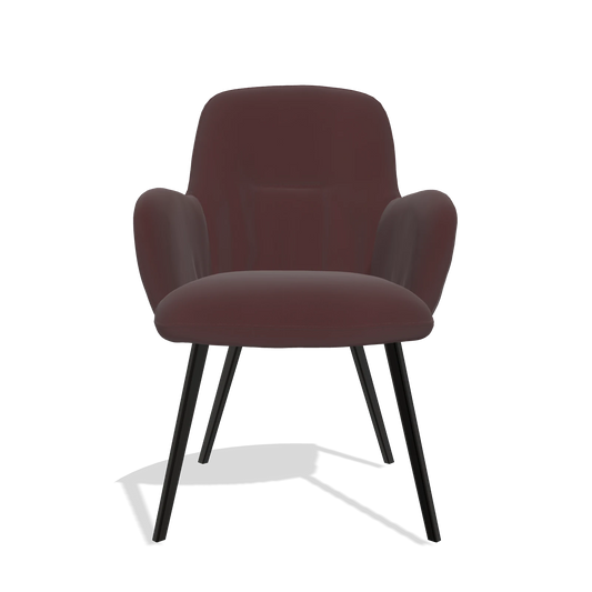 Chaise de salle à manger Mancini 6538 en Cuir B938 (chocolat), pieds en noir, vue de face