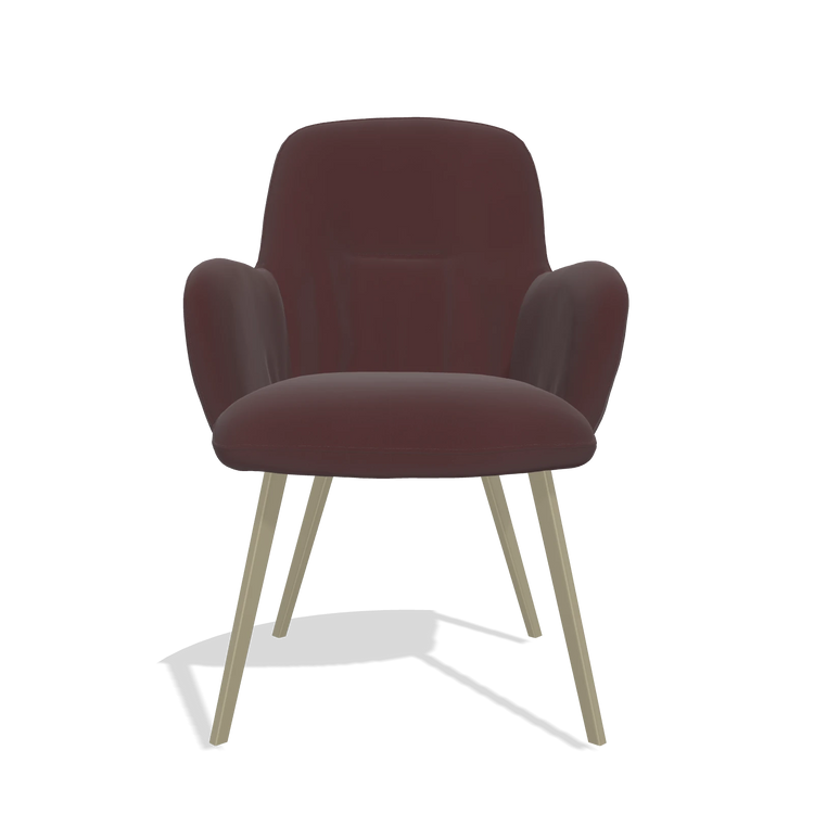 Sedia da pranzo Mancini 6538 in Pelle B938 (cioccolato), gambe in champagne, vista frontale