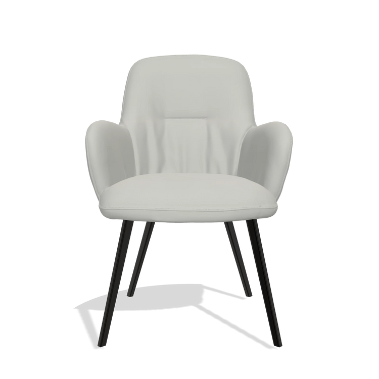 Chaise de salle à manger Mancini 6538 en Cuir B970 (gris clair), pieds en noir, vue de face