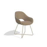 Champán