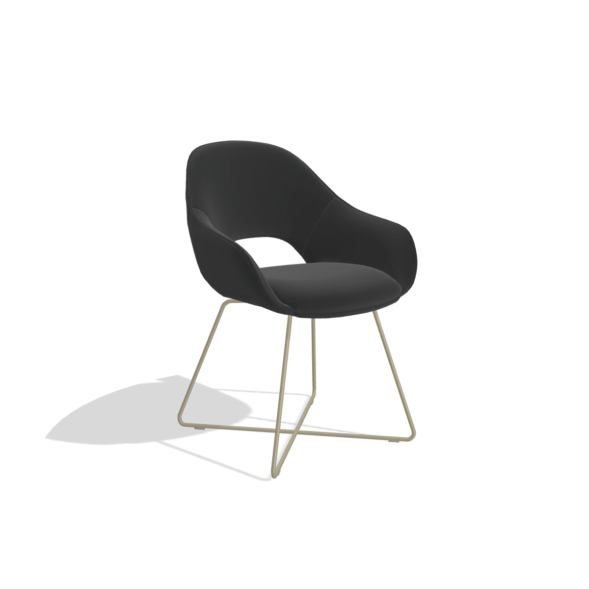 Sedia da pranzo Milan 6516 in Pelle A804 (nero), gambe in champagne, vista angolata