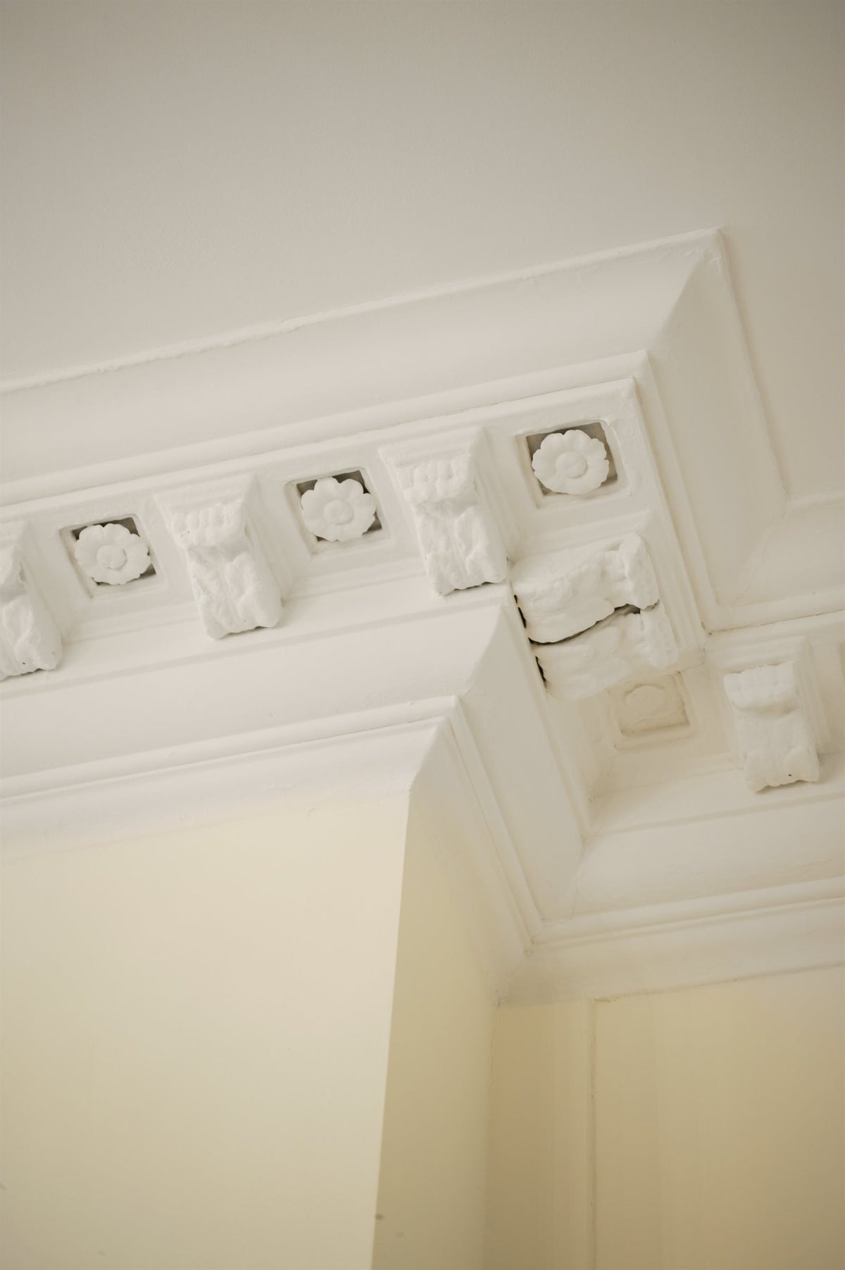 Moulded plaster cornice at the ceiling corner - Embassy, Brussels