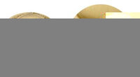 Goud 24K